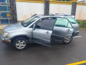 Lexus RX 2003 Silver