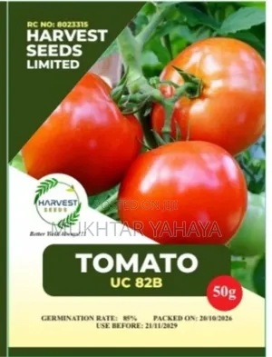 Tomato, Uc 82b