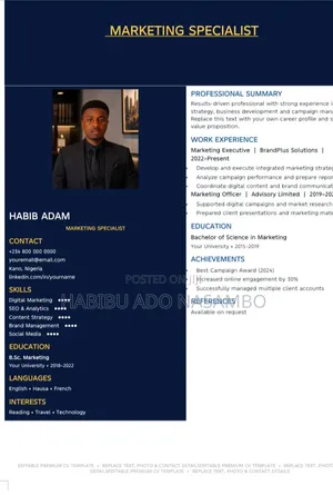 3 Premium Editable CV Templates