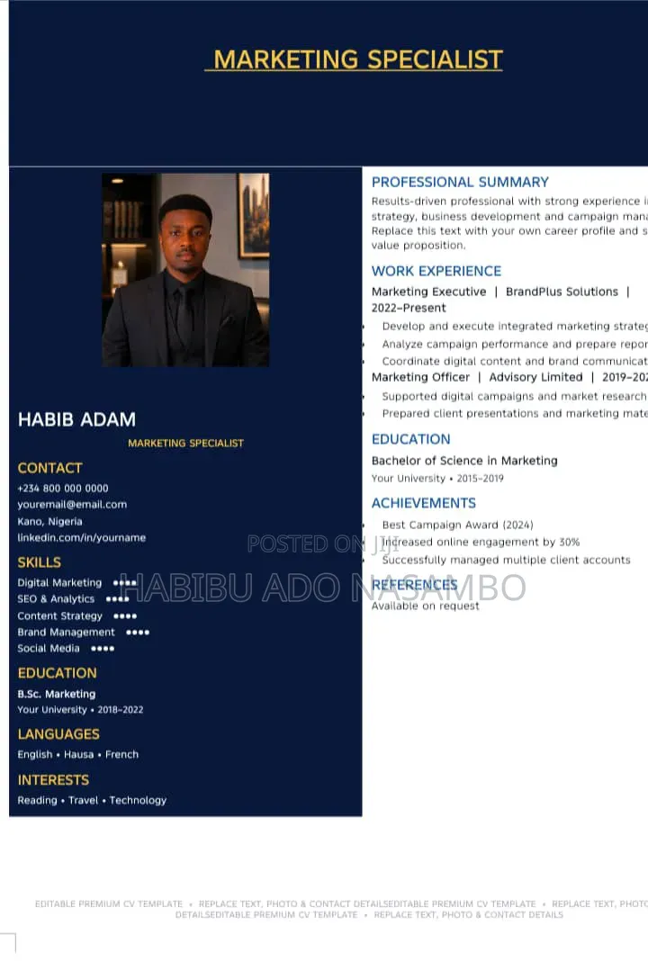 3 Premium Editable CV Templates