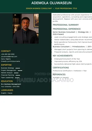 3 Premium Editable CV Templates