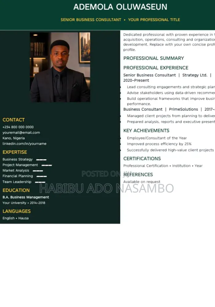 3 Premium Editable CV Templates