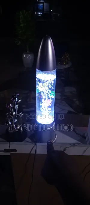 Aquarium at Affordable Price