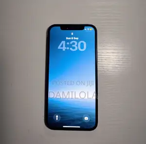 Apple iPhone 12 256 GB Blue
