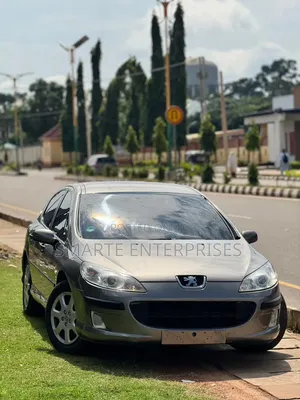 Peugeot 407 2004 Gray