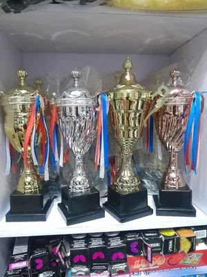 Metallic Gold Trophy Cup With Ribbon (Large / Medium)