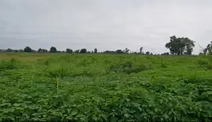 5 Hectares Comprehensive Land