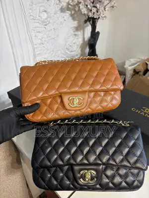 Chanel Bag With Purse