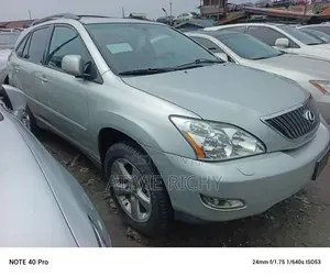 Lexus RX 330 2004 Silver