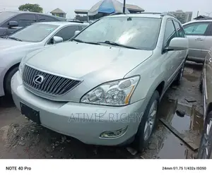 Lexus RX 330 2004 Silver