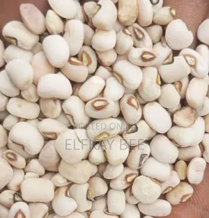 5 Bowls Sokoto Beans