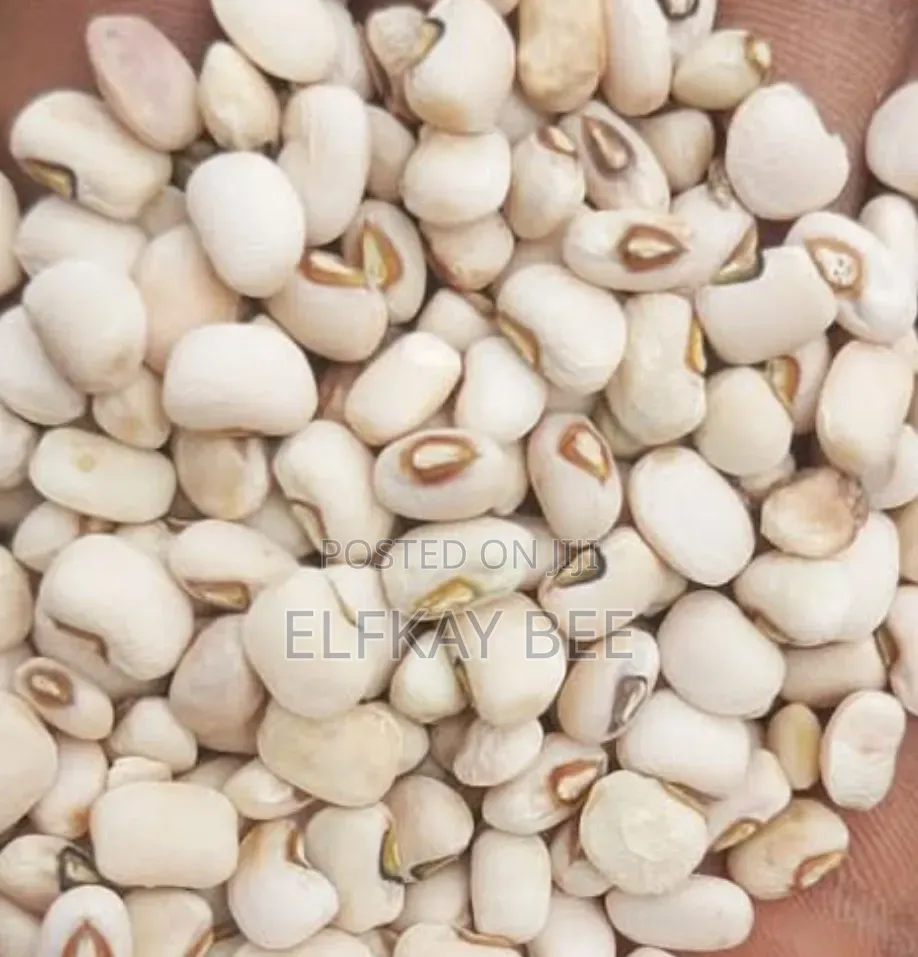 5 Bowls Sokoto Beans