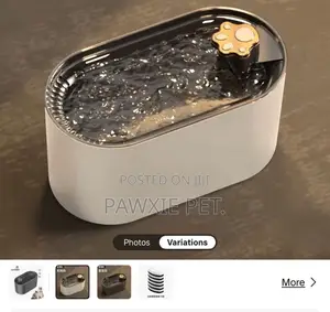 Intelligence Pet Drinking Fountain