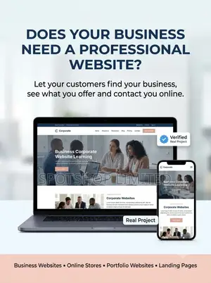 Professional Website Design & Development