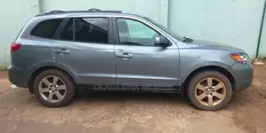 Hyundai Santa Fe 2006 Gray