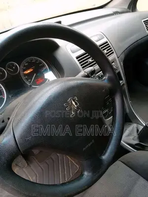Peugeot 307 SW 2004 Silver