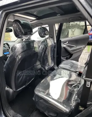 Hyundai Santa Fe Limited w/Saddle Interior 4dr SUV AWD (3.3L 6cyl 6A)