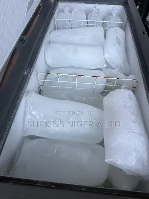 Ice Block in Bulk