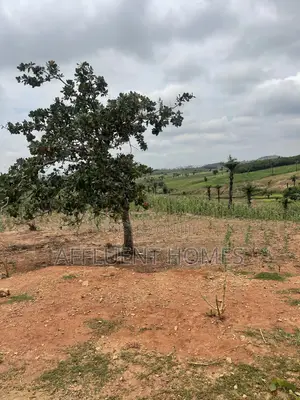 Prime Estate Land for Sale