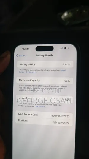 Apple iPhone 15 Pro Max 256 GB Silver
