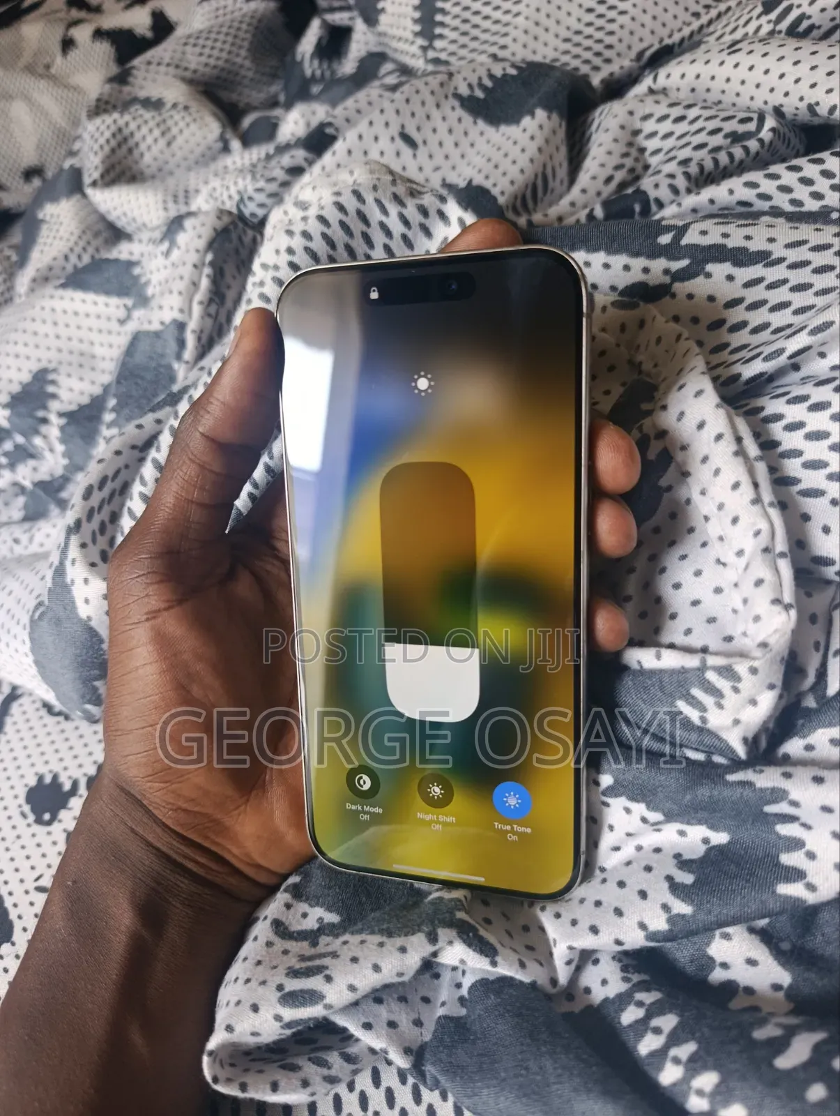 Apple iPhone 15 Pro Max 256 GB Silver