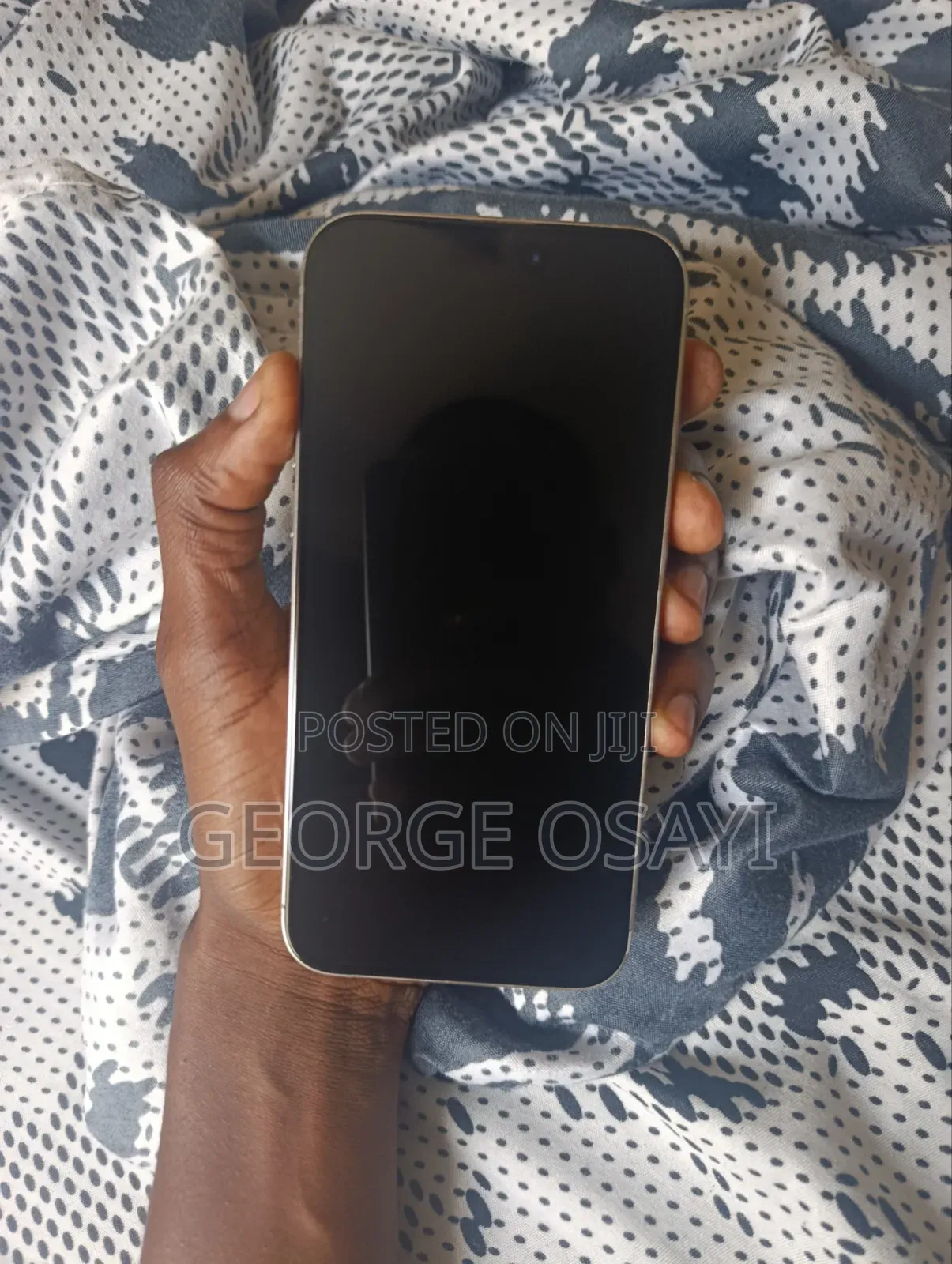 Apple iPhone 15 Pro Max 256 GB Silver