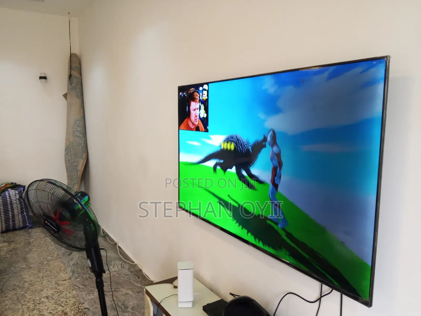 Television