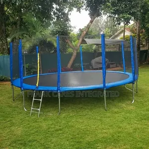 Foreign 12feet Trampoline With Climbing Ladder ( TP101)