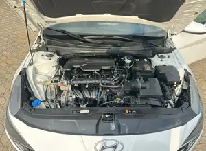 Hyundai Elantra 2023 White