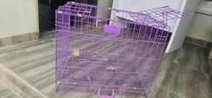Size 3 Collapsible Cage