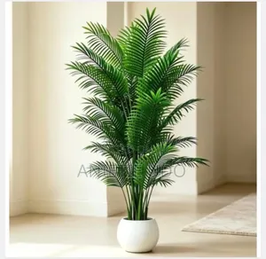 Beautiful Flower at Affordable Price