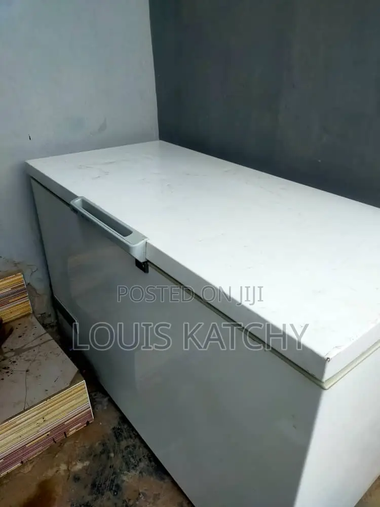 Bosch Industrial Deep Freezer 317L