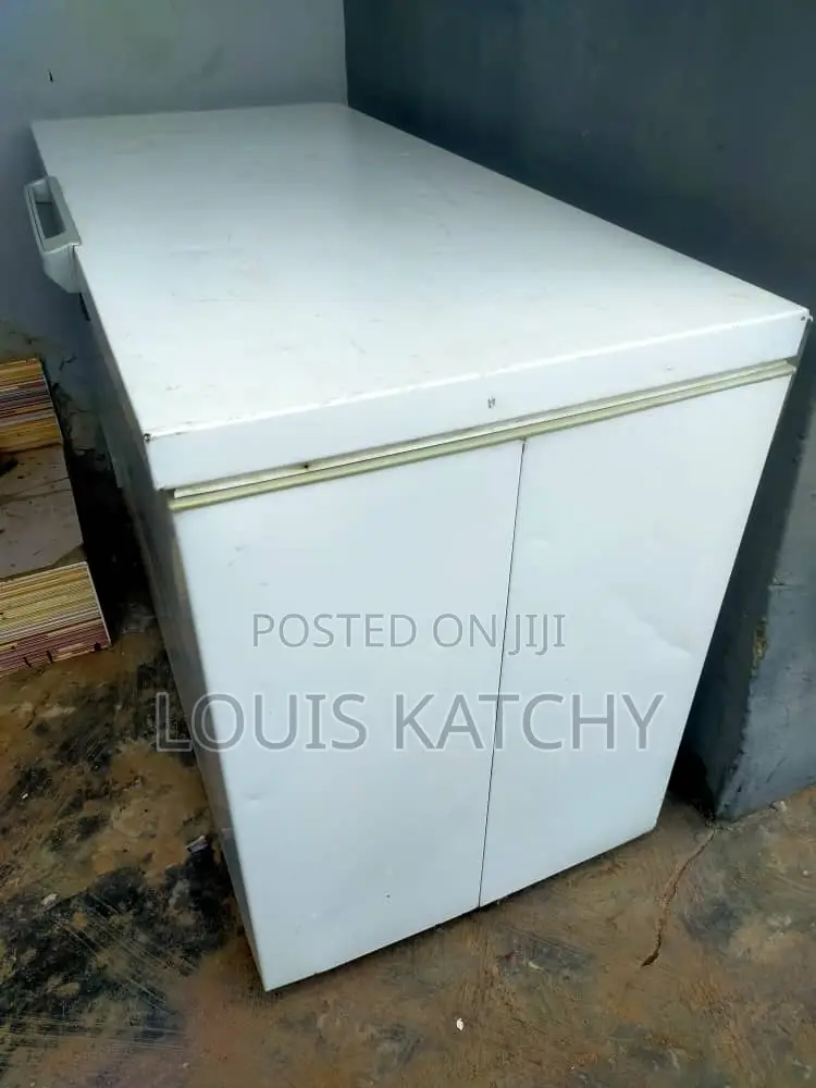 Bosch Industrial Deep Freezer 317L