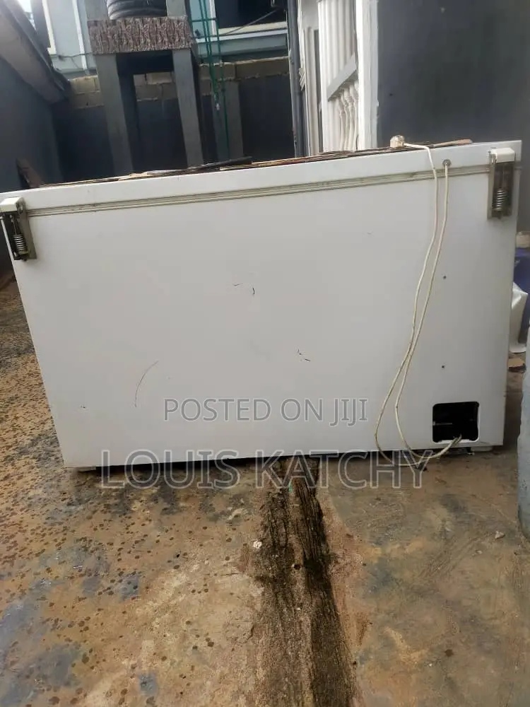 Bosch Industrial Deep Freezer 317L