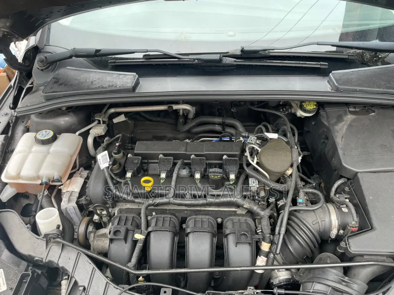 Ford Focus 2016 Blue