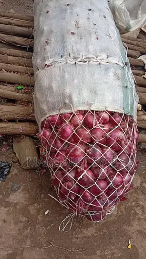 Fresh Onions Available — Crisp, Quality Full of Flavour!