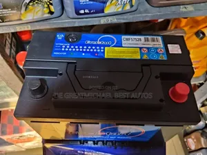 75arm Ever Start Battery