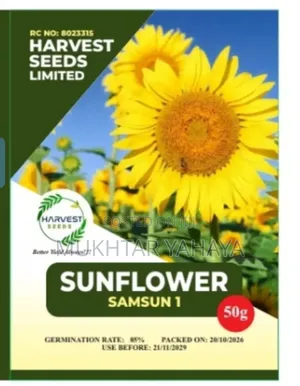 SUNFLOWER, Sumsun 1