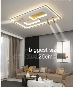 Ceiling Fitting With Tracks Light