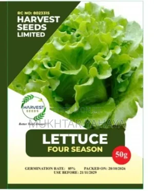LETTUCE, Four Season
