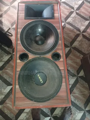Double Speaker