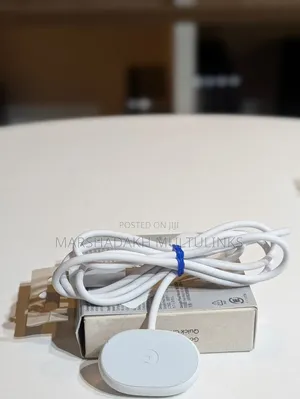 Genuine Pixel Watch Charger