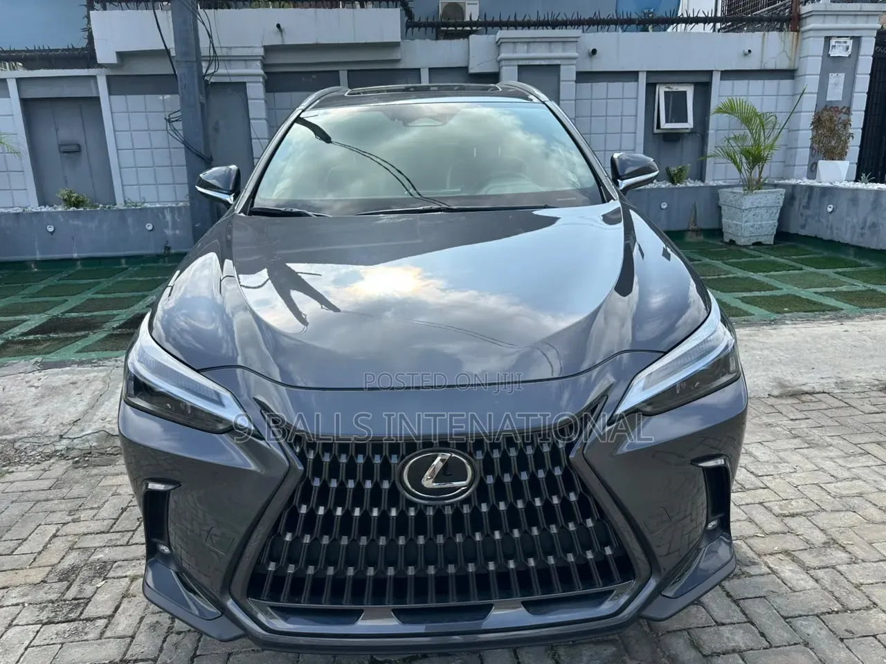 Lexus NX 2024 Gray