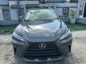 Lexus NX 2024 Gray
