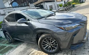 Lexus NX 2024 Gray