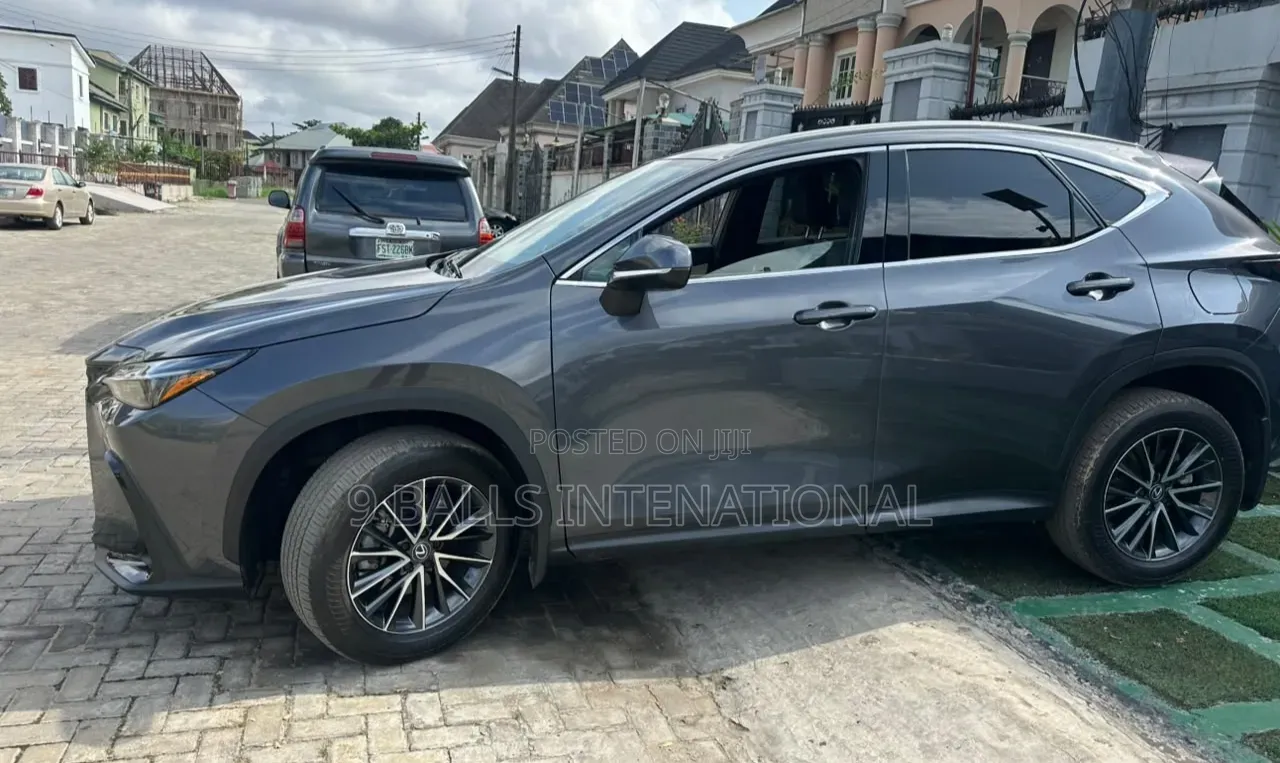 Lexus NX 2024 Gray