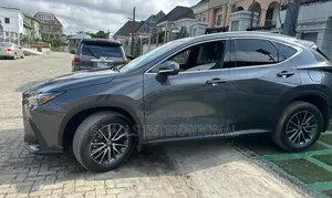 Lexus NX 2024 Gray