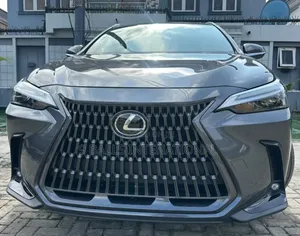 Lexus NX 2024 Gray