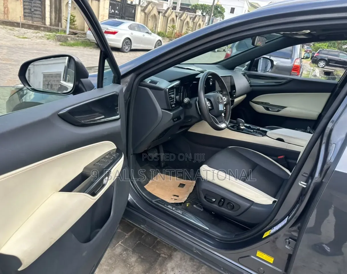 Lexus NX 2024 Gray
