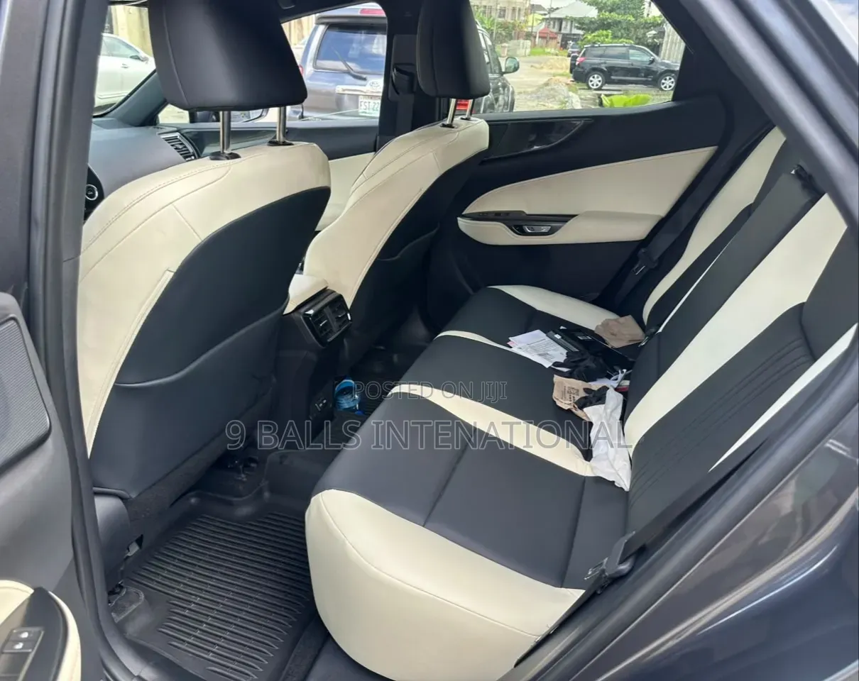 Lexus NX 2024 Gray